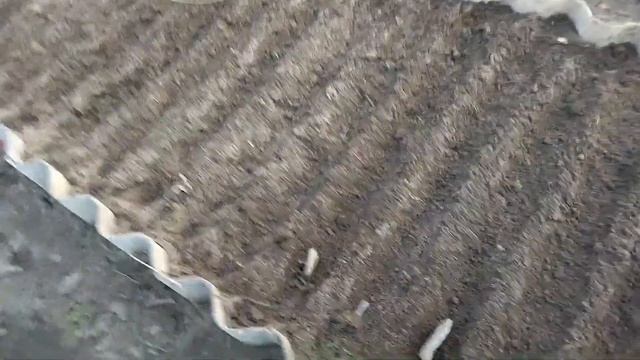 Посев раннего редиса в теплице шаг за шагом смотреть онлайн