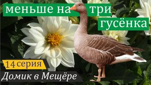 Радости и горести подмосковного отшельника. Домик в Мещёре, серия 14