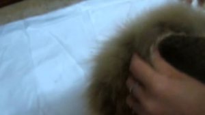 Шапка из старого воротника. ЭТО НЕ УРОК. ЭТО мой эксперимент!!!!!!!!!!!!!!!