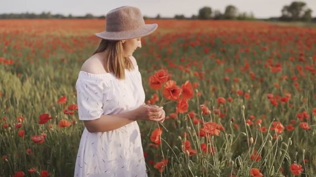 Relax Video - Красивые цветы маки. смотреть онлайн