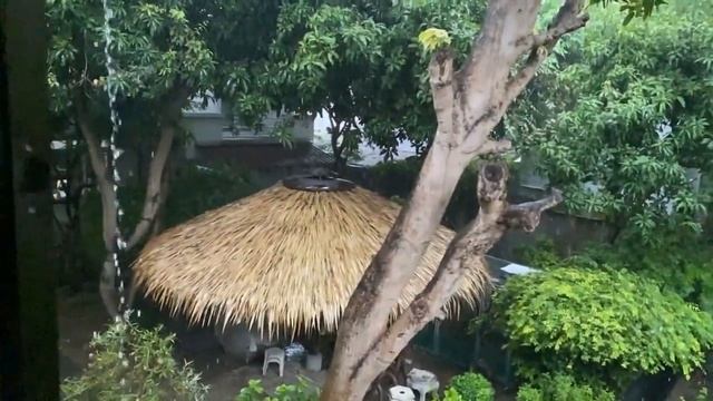 медитация с дождем смотреть онлайн