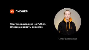 Программирование на Python. Описание работы скриптов