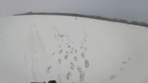 рыбалка 2021-22 поиск рыбы в глухозимье с подводной камерой!