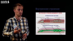 Тип кольчатые черви. Видеоурок 12. Биология 7 класс