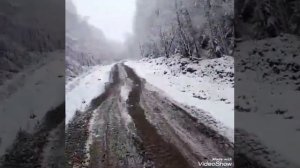 Макс Вертиго#Тайга