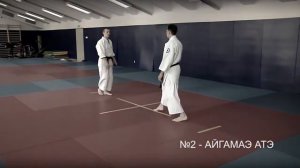 6 Кю – Видео - Программа Томики айкидо