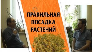 КАК ПРАВИЛЬНО ПОСАДИТЬ ДЕРЕВО_ Рекомендации МГУ эпизод #3