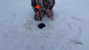 Ледобур Урал - Видео отзыв покупателя из Сургута