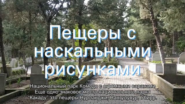 Национальный парк Какаду в Австралии смотреть онлайн