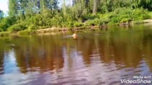 Проверка спасательного жилета на 120 кг.