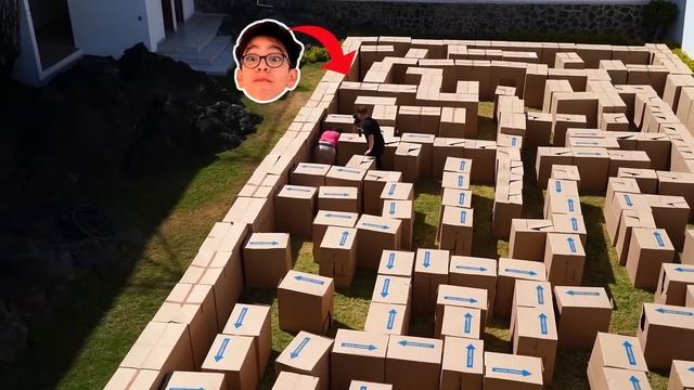 JUGAMOS A LAS ESCONDIDAS EN UN LABERINTO DE CARTON! смотреть онлайн