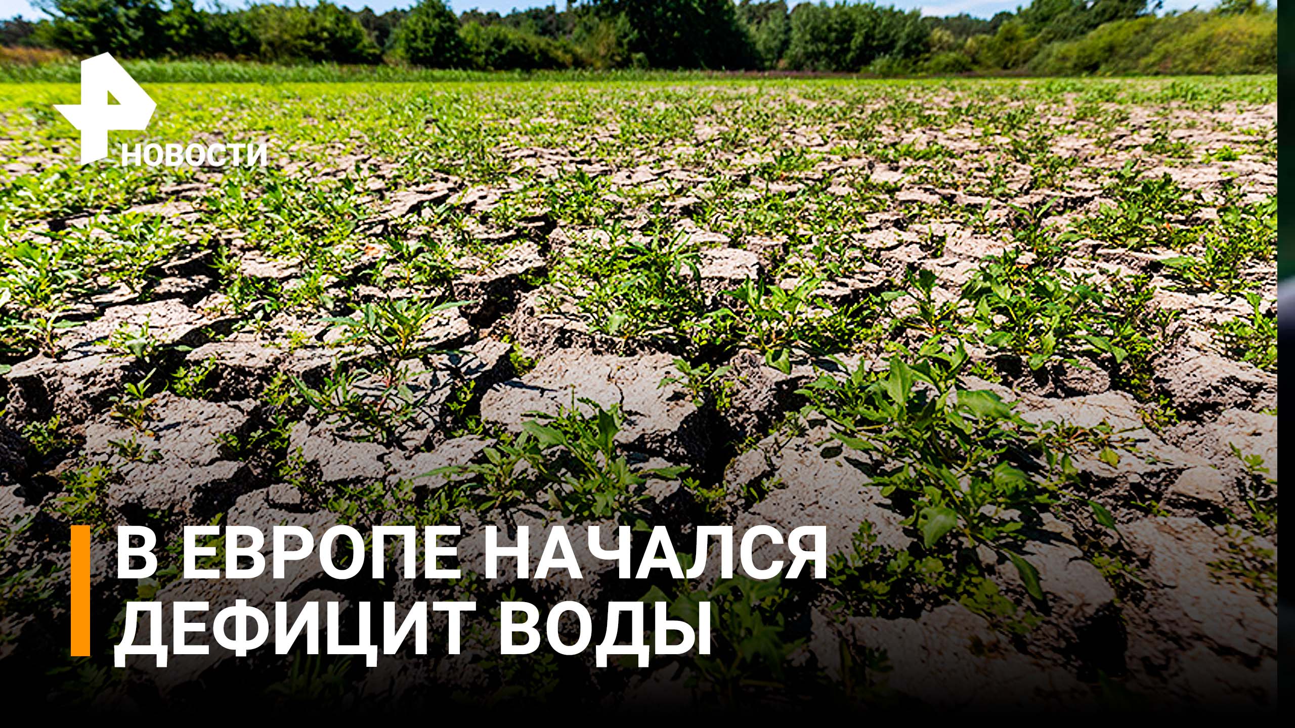Аномальная жара привела к дефициту воды в Европе / РЕН Новости