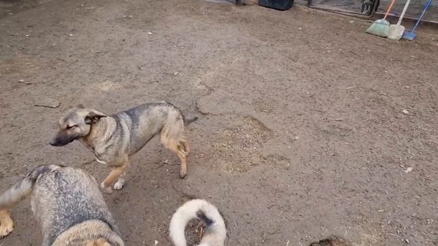 Жизнь Лексы после двух лет цеха только начинается!!!! Привезли обратно Куклу?♀️ смотреть онлайн