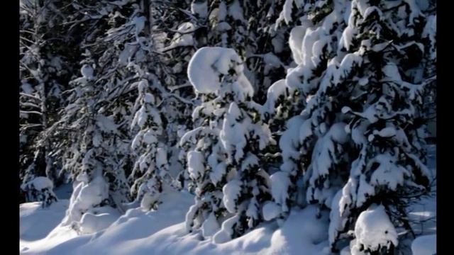 Цейское ущелье смотреть онлайн