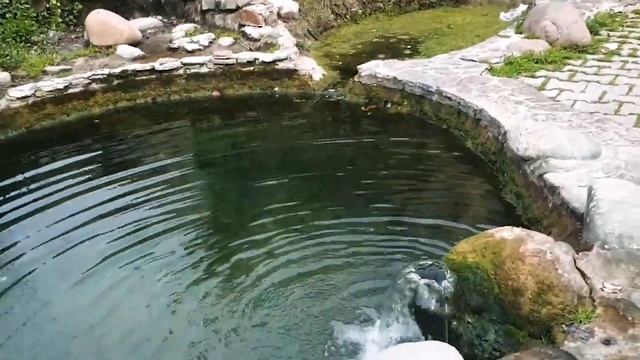 Uzbek Oloi bazar in Tashkent 2022. Узбекский центральный Алайский базар в Ташкенте. смотреть онлайн