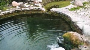 Uzbek Oloi bazar in Tashkent 2022. Узбекский центральный Алайский базар в Ташкенте.