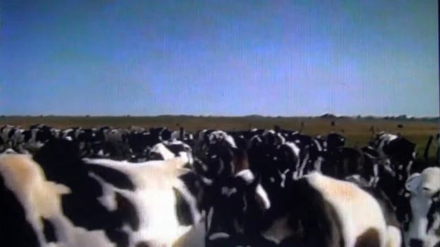 Село мое родное смотреть онлайн