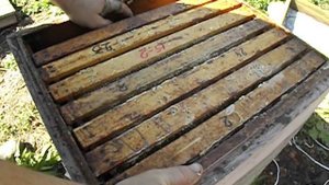 поставновка магазина на гнездовой корпус с пчелами - весенние работы на пасеке
