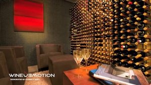 Винные погреба в загородных домах, коттеджах