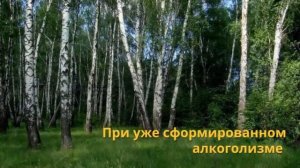 Как выйти из запоя самостоятельно  Как избавиться от похмелья  «ЭРАКОНД» ПРИ ПОХМЕЛЬНОМ СИНДРОМЕ