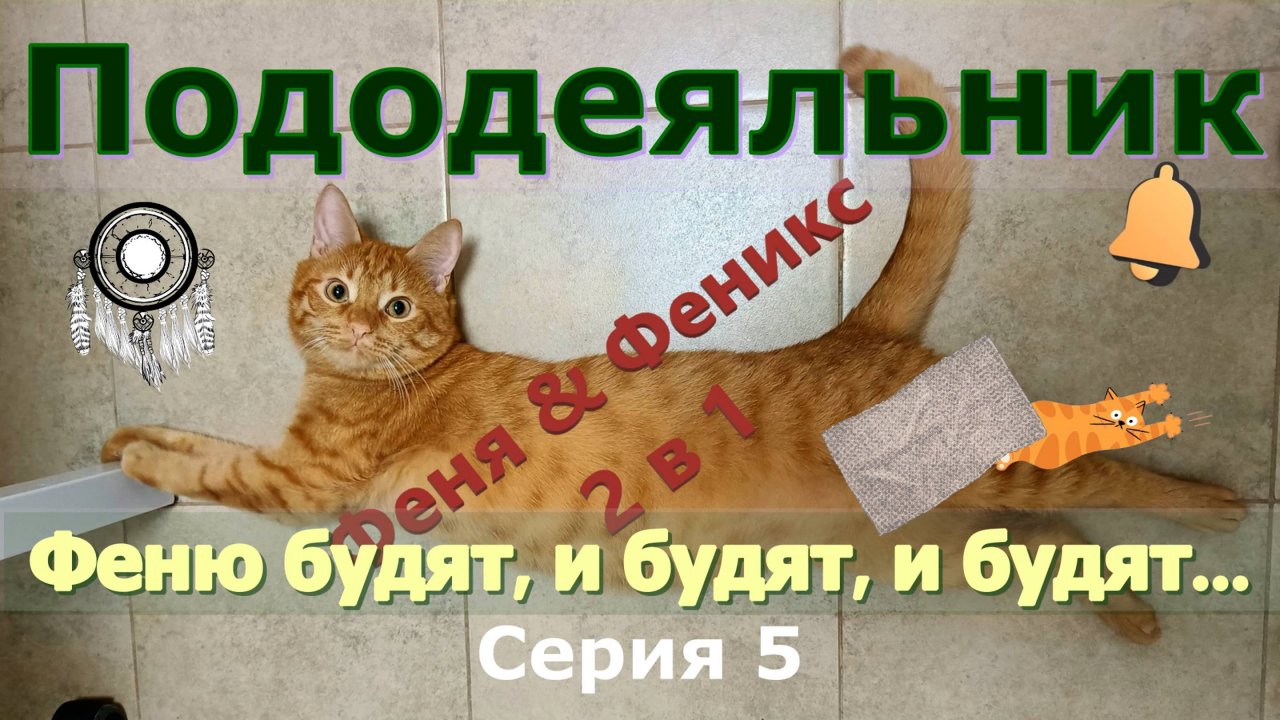 Пододеяльник. Феню будят, и будят, и будят... Серия 5  Кот Феня, он же Феникс