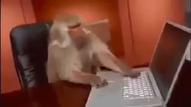 Обезьяна -пропал интернет смотреть онлайн