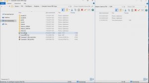 fsx aviator Установка ливреи на любой самолет симулятора!