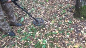 Первый в мире ГРИБОИСКАТЕЛЬ RUTUS / Прибор для поиска грибов!