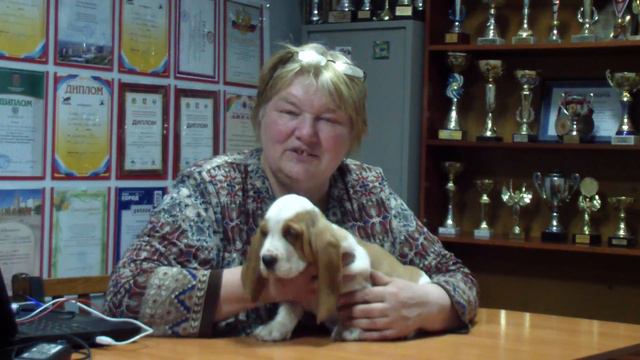 Заключение кинолога Трапезниковой Е. В. смотреть онлайн