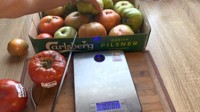 Сорт томата от Зураба Кухианидзе. Фаворит сезона 2022 смотреть онлайн