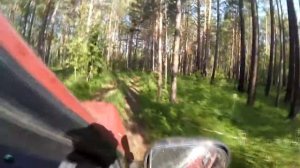 Дорога по тайге.