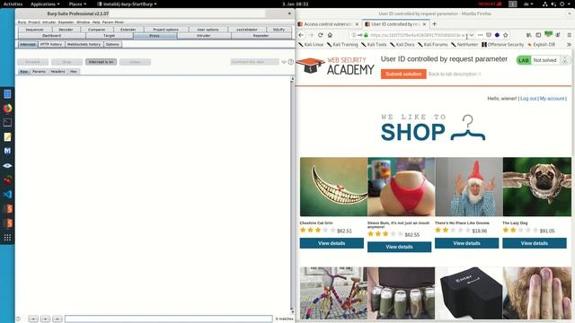 User ID controlled by request parameter (Video solution) смотреть онлайн