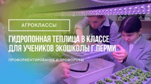 Агрокласс в Экошколе г.Перми, гидропонное оборудование для выращивания растений.