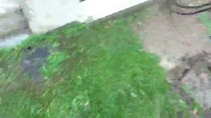 Выборка грунта под тротуарную плитку...