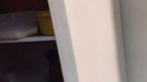 Мой опыт кормления курцхаара  В гости к Борису Сливчикову