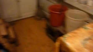 Рыбалка в Сибири на реке Лена