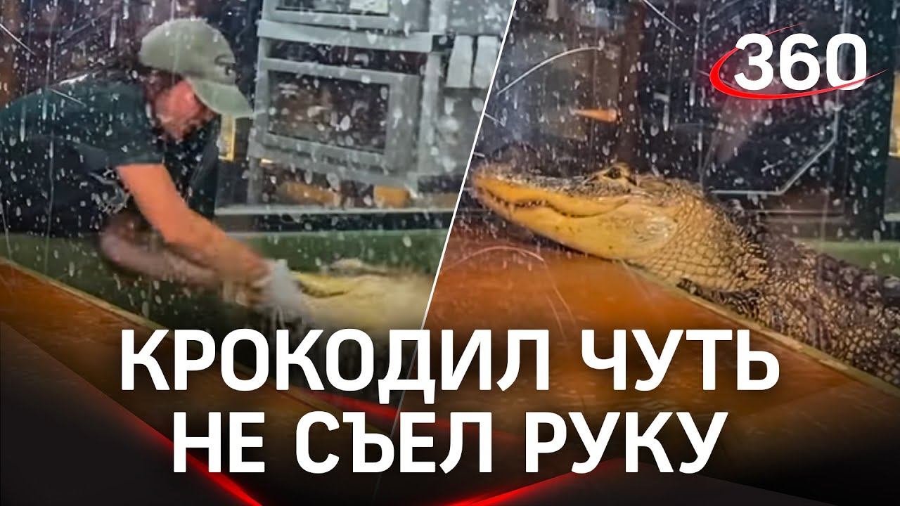 Видео: крокодил вгрызся в женщину и затащил в вольер - спасали посетители