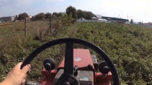 Уборка ботвы картофеля минитрактор Беларус 132Н