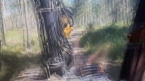 Прокатился в лес на Харвестере Ponsse непревзойденный харвестер в линейки Ponsse