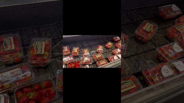 No Frills Budget Canadian Grocery Store #самвеладамян #food #trending #marketing смотреть онлайн