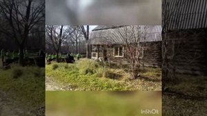 Хехцирский заповедник. Хабаровский край.