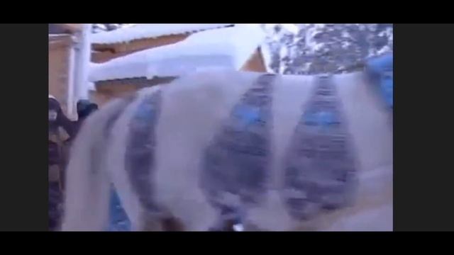 Группа"Старики разбойники". Стерлитамак. Песня экспромт "Новогоднее поздравление". смотреть онлайн