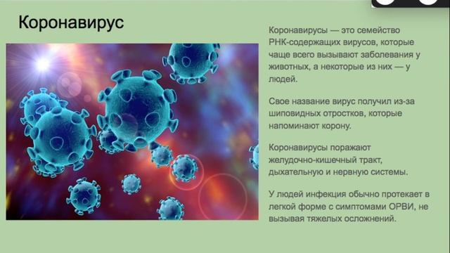 Занятие для школьников "Вирусы". Часть 1 смотреть онлайн