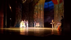 Танец черного лебедя