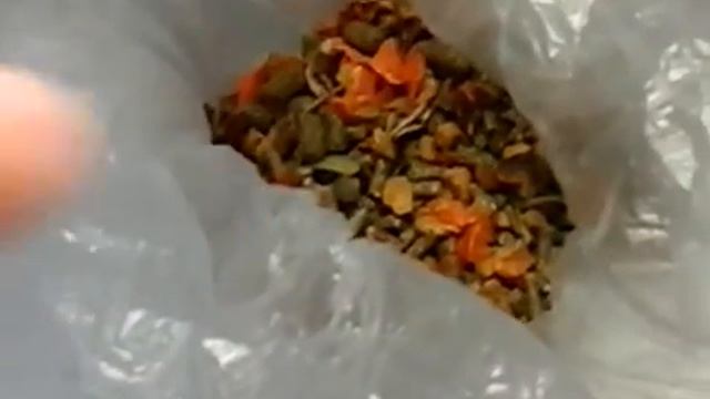 Как ухаживать за черепахой. смотреть онлайн