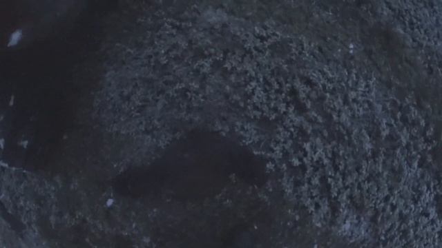 Охота на глухаря весной на току. 2021 смотреть онлайн