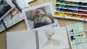 Рисуем собачку породы чихуахуа Афродиту (Фросю)