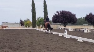 Ferrari M and Julia Mineikis Grand Prix debut 5/2023 CNDC