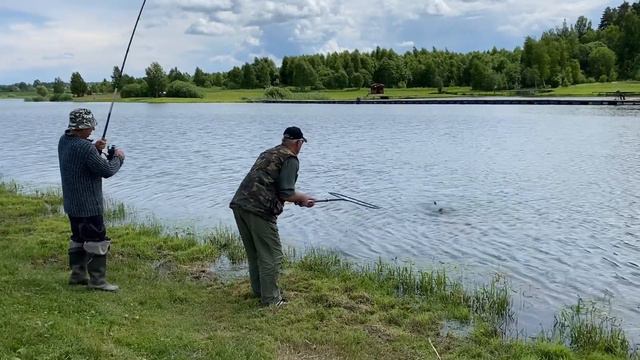 Ловля карпа на общем водоеме (онлайн с места событий) смотреть онлайн
