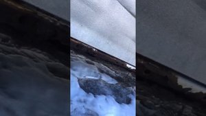 NISSAN LIBERTY- реанимация кузова - день первый, замена порогов, крыльев, задних арок...